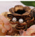 Minimalist Flower Natural Freshwater Pearl Inlay Zircon Ear Studs 1 Pair