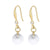 1 Pair Fashion Solid Color Plating Inlay 304 Stainless Steel Stainless Steel Satellite Stone Rhinestones 18K Gold Plated Drop Earrings