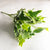 Minimalist Classic Style Solid Color Plastic Imitation Plants Artificial Flowers