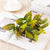 Minimalist Classic Style Solid Color Plastic Imitation Plants Artificial Flowers