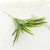 Minimalist Classic Style Solid Color Plastic Imitation Plants Artificial Flowers