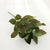 Minimalist Classic Style Solid Color Plastic Imitation Plants Artificial Flowers