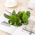 Minimalist Classic Style Solid Color Plastic Imitation Plants Artificial Flowers