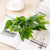 Minimalist Classic Style Solid Color Plastic Imitation Plants Artificial Flowers