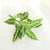 Minimalist Classic Style Solid Color Plastic Imitation Plants Artificial Flowers
