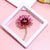 Basic Modern Style Classic Style Pin Animal Flower Alloy Plating Inlay Artificial Pearls Rhinestones Women'S Brooches