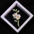 Basic Modern Style Classic Style Pin Animal Flower Alloy Plating Inlay Artificial Pearls Rhinestones Women'S Brooches