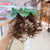 Children'S Wig Headwear Baby New Year Curly Hair Cards Cute Little Girl'S Bow Hairpin Girls' New Year Hair Accessories