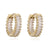1 Pair Elegant Luxurious Shiny C Shape Circle Plating Inlay Copper Zircon 18K Gold Plated Earrings